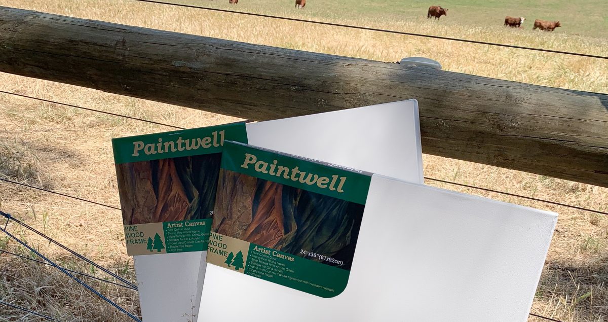 Bulk Cheap Canvases Paintwell Art Materials Australia