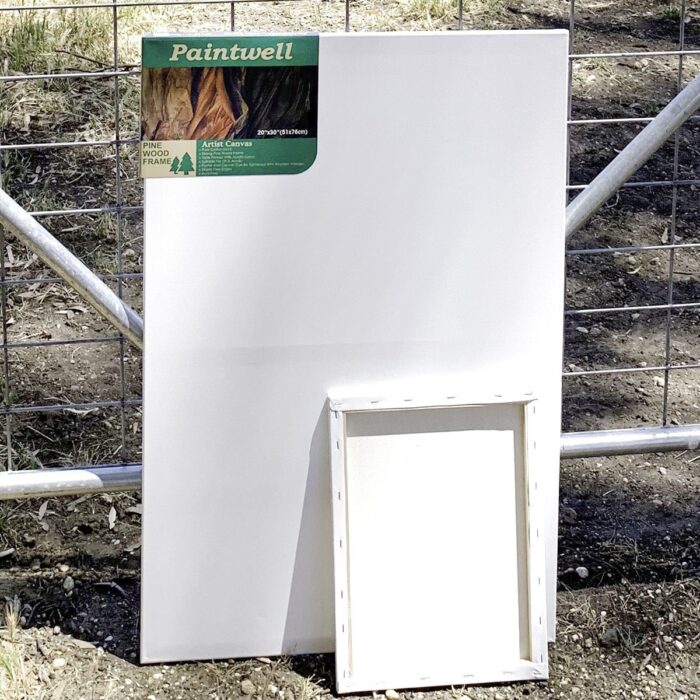 Box of 20 10x20" Painting Canvas Thin Frame Paintwell