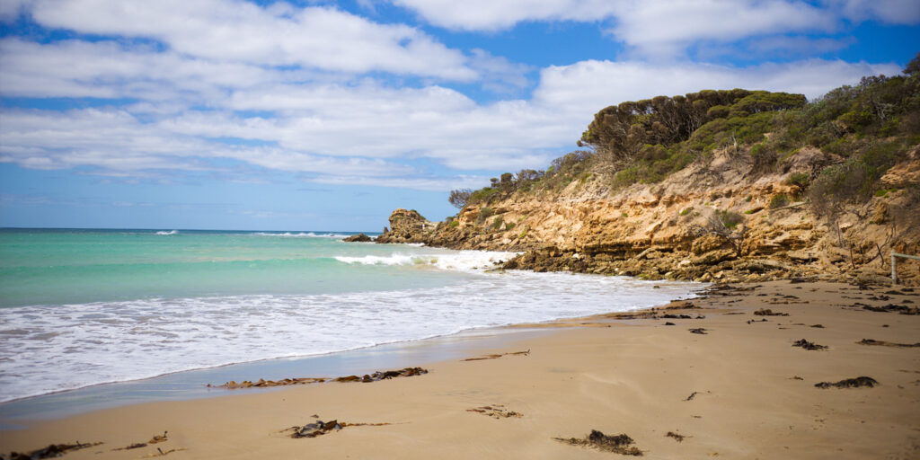 Abstract Paint Brush Techniques Abstract Landscape Art Materials