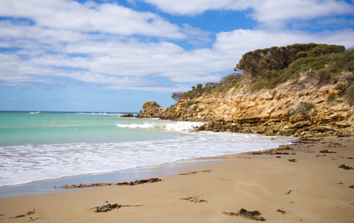 Abstract Paint Brush Techniques Abstract Landscape Art Materials